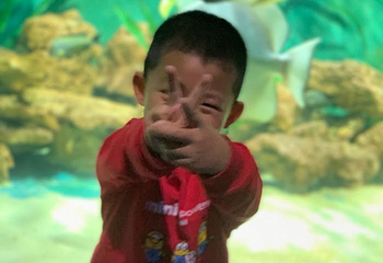 兰州极地海洋世界第 14 张图片