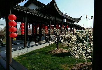 梅花湾第 41 张图片