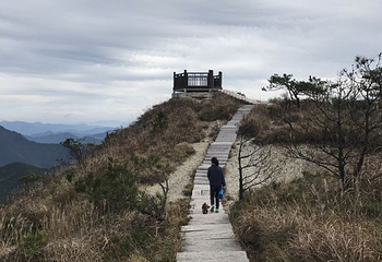 龙泉山旅游区第 52 张图片