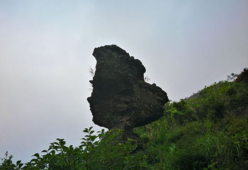 瑞云山森林公园第 33 张图片
