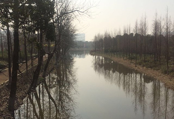洋湖湿地公园第 24 张图片