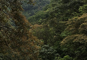 八乡山大峡谷第 21 张图片