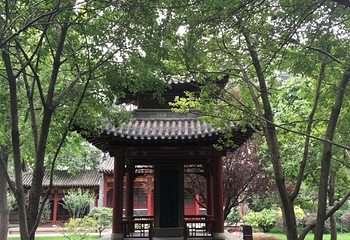 碑林公园第 27 张图片
