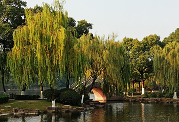 月湖公园第 63 张图片