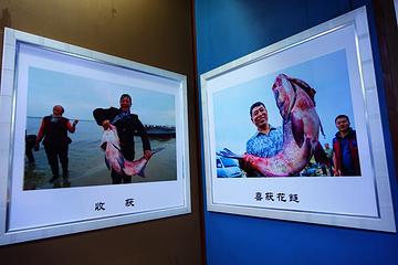 北大荒鱼展馆第 9 张图片