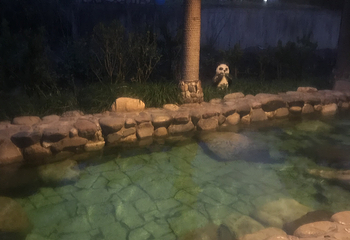 上海雪浪湖生态园第 15 张图片