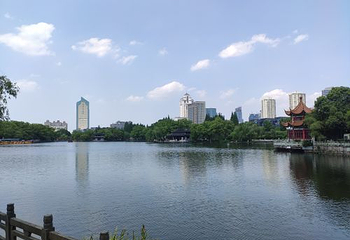 月湖公园第 64 张图片