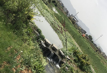 荻浦花海第 6 张图片
