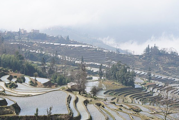 坝达景区第 23 张图片