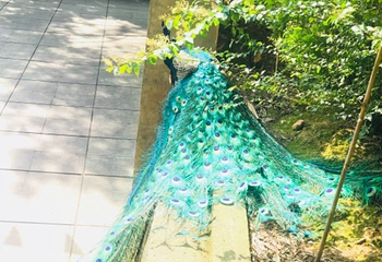 翠屏湖第 38 张图片