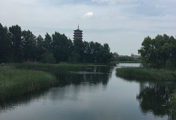 长春北湖国家湿地公园第 27 张图片