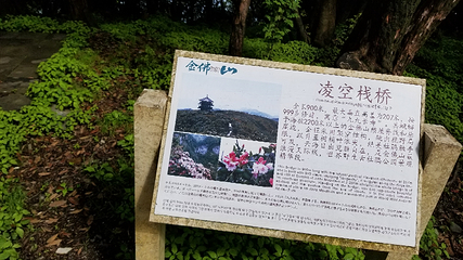 金佛山第 152 张图片