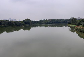 海珠国家湿地公园第 40 张图片