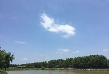 高邮湖芦苇荡湿地公园第 45 张图片