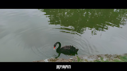 南宁动物园第 63 张图片