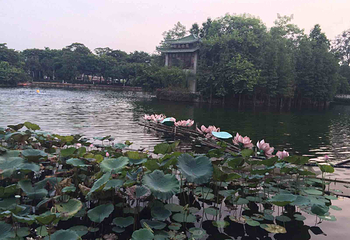 仁威庙第 9 张图片