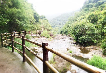 马峦山郊野公园第 18 张图片