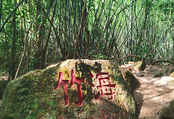 皂幕山旅游风景区第 13 张图片