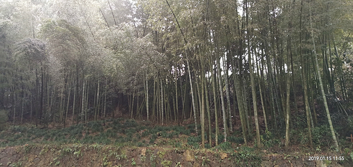 十里琅珰第 20 张图片