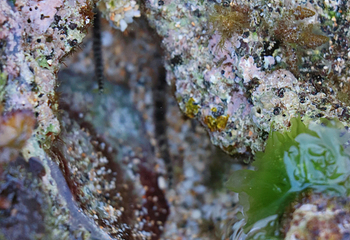 海安白沙湾第 9 张图片
