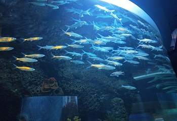 石家庄海洋公园(海悦天地购物广场店)第 17 张图片