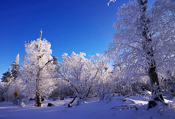 丝绸之路山地度假区滑雪场第 57 张图片