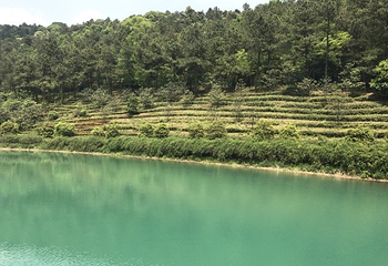 苏州旺山九龙潭风景区第 15 张图片