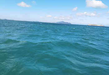 龙凤头海滨浴场第 26 张图片