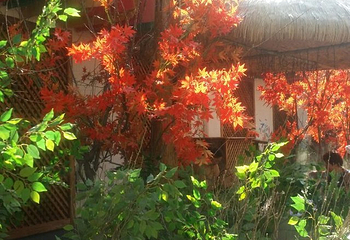 鞍山温泉印象体验馆第 20 张图片