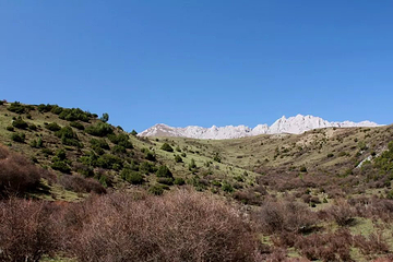 太子山风景旅游区第 7 张图片