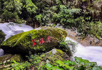 神龙谷第 34 张图片