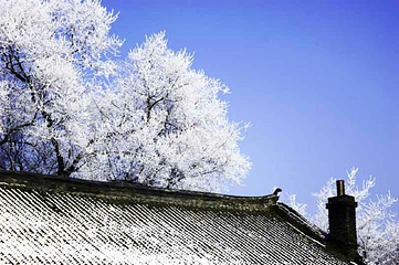 鴜鹭湖滑雪场第 24 张图片