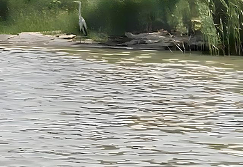 衡水湖旅游景区第 54 张图片