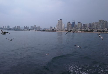 大连星海湾游艇港码头第 9 张图片