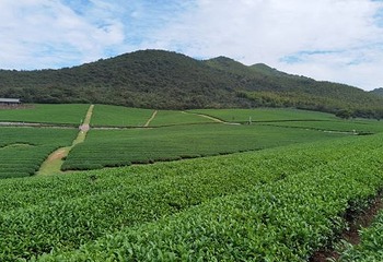 龙池山自行车公园第 26 张图片