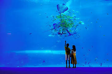 海南海洋欢乐世界第 69 张图片