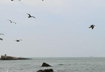 林海公园第 23 张图片