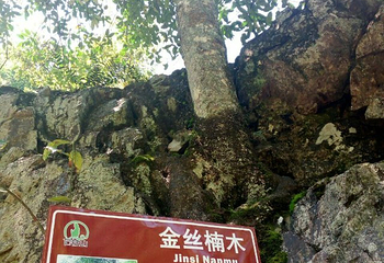 宁国市石柱山第 31 张图片