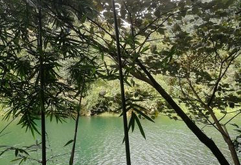 千谷溪森林公园第 11 张图片