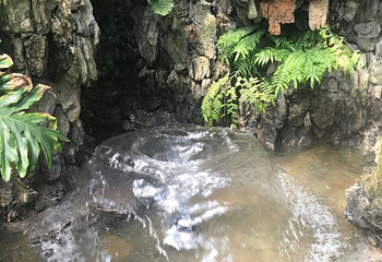 圣鑫水世界第 45 张图片