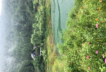 千岛湖进贤湾休闲观光豪华游艇第 3 张图片