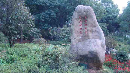 天际岭第 9 张图片
