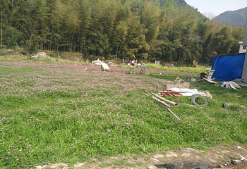 筋竹涧农业观光园第 25 张图片