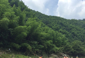 夹溪河漂流第 35 张图片