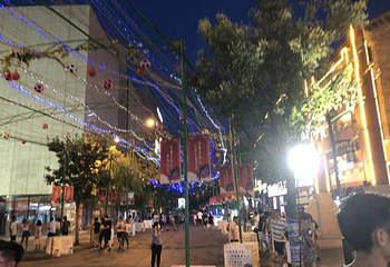 拉萨清真大寺第 11 张图片