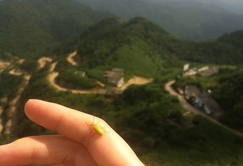 天泉瀑布第 2 张图片