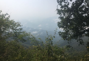 南宫山国家森林公园第 31 张图片