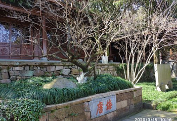 超山风景名胜区第 37 张图片