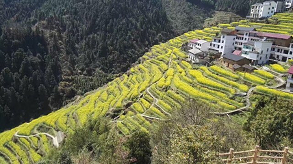 浙江开化国家公园旅游通票第 17 张图片