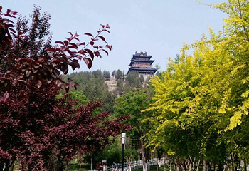 梁山水浒酒文化体验馆第 23 张图片